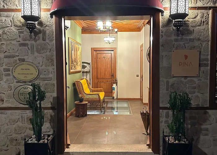 Pina Oldtown Hotel *