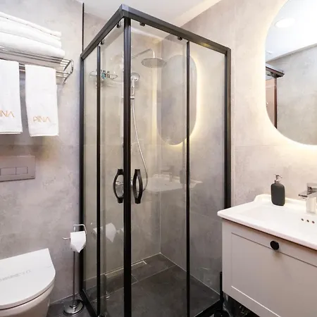 Pina Oldtown Hotel *