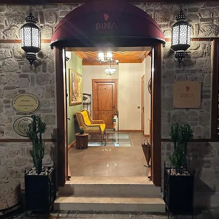 Pina Oldtown Hotel *